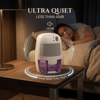 Déshumidificateur d'air domestique, absorbe l'humidité, mini déshumidificateur de 500 ml pour la chambre, la salle de bain