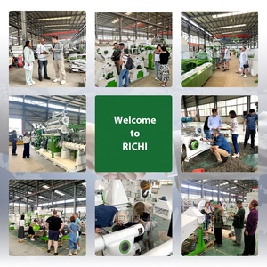 Solución Llave en Mano para Producción de Pellets de Madera con Control PLC Calificado RICHI, 1-20 Toneladas <span class=keywords><strong>por</strong></span> <span class=keywords><strong>Hora</strong></span>, Línea de Producción de Pellets de Biomasa de Palma, EFB y Roble - Product Image 4