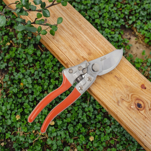 <span class=keywords><strong>Prix</strong></span> de gros, outils de jardinage manuels, ciseaux de <span class=keywords><strong>taille</strong></span>, sécateurs, cisailles à branches de <span class=keywords><strong>pommier</strong></span>, lame en acier de haute qualité, rouge argent, 20 cm - Product Image 6