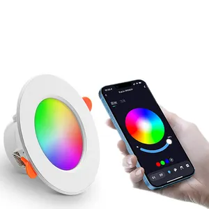 Hete Verkoop Hotel Moderne Rgb Tuya Smart Wifi Led Plafondlamp Gemonteerde Lamp Met App