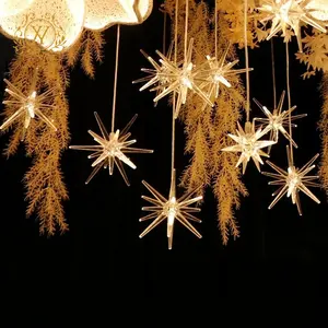 Acrylic Sea Urchin Shaped LED Bulb Pendant Light 10 Head Glowing Starfish Ceiling Light for Home Courtyard Wedding Stage Decor