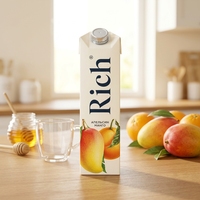 Cartons en briques aseptiques personnalisés pour jus de fruits et boissons de qualité supérieure