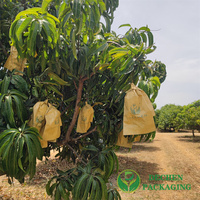 Mangozakjes Tjc Mango Bedekkende Fruitbeschermingszakken