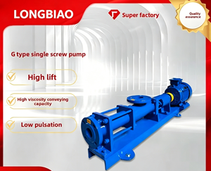 Pompe à vis simple LONGBIAO pour additifs <span class=keywords><strong>PAC</strong></span>/<span class=keywords><strong>PAM</strong></span>, retour de boues, en fonte, arbre en acier inoxydable, à vitesse variable par conversion de fréquence, type G - Product Image 4