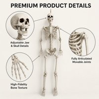 Squelette articulé réaliste grandeur nature SIPKLR 185 cm pour Halloween, maison hantée, intérieur/extérieur