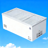 Offre Spéciale d'usine litre différent maison mini réfrigérateur d'aliments frais réfrigérateur congélateur maison réfrigérateurs hôtel mini réfrigérateur