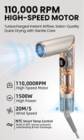 Secador de Pelo Plegable Multifuncional 8 en 1 ODM OEM, Motor sin Escobillas de Alta Velocidad de 1500W, 3 Velocidades, con Cepillo de Aire Caliente