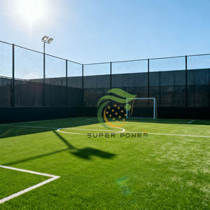 Terrain <span class=keywords><strong>de</strong></span> football professionnel avec cages <span class=keywords><strong>de</strong></span> football, équipement sportif complet, gazon artificiel, <span class=keywords><strong>cage</strong></span> <span class=keywords><strong>de</strong></span> football - Product Image 5