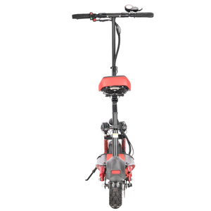 Trottinette pour adultes, échantillon disponible, personnalisable, avec double amortisseur avant et arrière de 10 pouces - Product Image 2