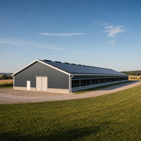 Grande Serre Industrielle Moderne en Acier pour l'Élevage de Poulets de Chair Automatisée, Entrepôt Climatisé