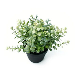 Plante artificielle <span class=keywords><strong>en</strong></span> <span class=keywords><strong>pot</strong></span> avec feuilles de faux <span class=keywords><strong>eucalyptus</strong></span> et terreau synthétique, vente <span class=keywords><strong>en</strong></span> gros, verdure décorative <span class=keywords><strong>pour</strong></span> la maison - Product Image 3