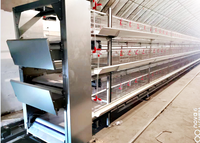 Nouvelles cages à poulets de type H à haute densité entièrement automatiques galvanisées, structure durable et gain de place pour l'élevage avicole commercial