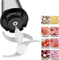 Meilleur 350W Mini Hachoir Électrique En Acier Inoxydable 2L Capacité pour Speedy Ménage Cuisine Préparation Multifonctionnel Hachoir À Viande