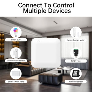 Customized Logo Gateway BLE HUB Smart Home Bridge Type-C Port Tuya APP <b>Remote</b> Control Via Alexa Google Home - Product Image 2