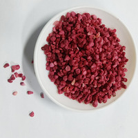 Gevriesdroogde Frambozenkorrels Voor Dessertcake Decoratie Zure Bessen Voeding Heerlijke Groothandel Gevriesdroogd Fruit