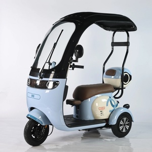 Hot Selling 48V 20Ah Carbon Steel Electric Tricycle 3-Wheel Scooter 600W <b>Power</b> for Passenger - Product Image 2