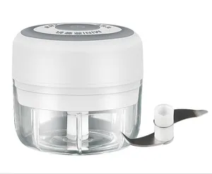 Vente en gros mélangeur d'ail portable USB cuisine mini hachoir presse-ail broyeur broyeur d'ail