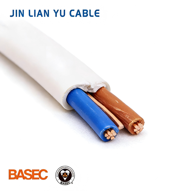 Premium Flat Cable Oxygen-Free Copper PVC ROHS/BASEC for Flame Retardant Low Resistance Eco-Friendly Bulk Stock Building