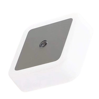 Mini veilleuse LED EU/US Plug-in crépuscule à l'aube capteur mur nuits lampe carré pour chambre couloir escaliers couloir 110V 220V