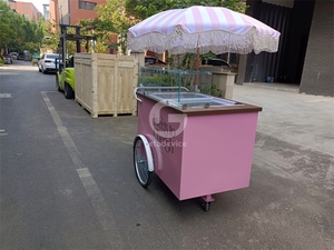 Chariot de vente ambulante compact pour desserts glacés, avec grand espace de rangement, auvent météo, mobile, pour parc, plage, vente de nourriture - Product Image 3