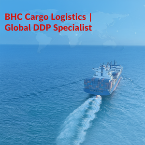 Envío Puerta a Puerta DDP Marítimo y Aéreo FCL LCL desde China a Europa, Reino Unido, que incluye Novi Sad, Nis, Kragujevac, a Bajo Costo - Product Image 3