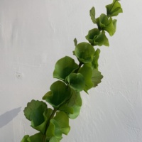 Daun Hijau Artificial Berkualitas Tinggi, Sentuhan Realistis, Daun Lonceng Irlandia, Bunga Artificial, Rangkaian Bunga