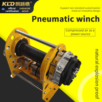 Petit treuil de traction pneumatique 50 kg/150 kg/300 kg/500 kg/1000 kg Peut être personnalisé