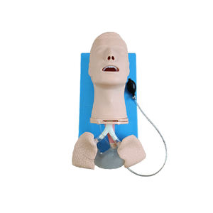 Modèle de gestion des voies respiratoires anatomiquement précis SY-N3701, simulation réaliste de laryngoscopie et d'intubation - Product Image 6