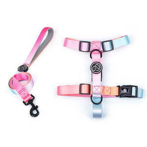 Petit chien grand chien marche gradient couleur chien chaîne poitrine sangle pour animaux de compagnie fournisseur - Product Image 2