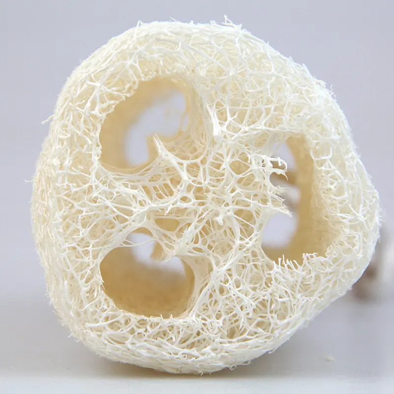 Wholesale 100% nature Luffa biodegradable exfoliating custom body bath natural sponge loofah