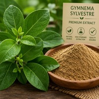 Extrait de feuilles de Gymnema Sylvestre en poudre 25% 75% Acide Gymnémique Qualité Alimentaire HPLC Sauvage