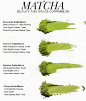 Vente en gros de matcha aux champignons bio de marque privée 100% poudre de matcha de cérémonie mélangée aux champignons de thé vert naturel pur