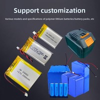 Pasokan 402030 302030 502030 602030 Lampu Audio Mainan Baterai China -1065 Pouch Cell dengan PCM/BMS dan Kabel, Bersertifikasi KC CE UN38.3