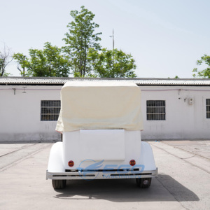 Voiture électrique vintage blanche, style rétro, homologuée CE, directement de l'usine, chariot de tourisme classique - Product Image 6