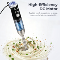 Mixeur plongeant électrique multifonctionnel en acier inoxydable sans BPA, 21 vitesses