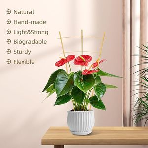 Enrejado de <span class=keywords><strong>Bambú</strong></span> para Jardín - 61 cm de Alto, Perfecto para Plantas Trepadoras, Vegetales y Macetas - Mejora tu Jardín con <span class=keywords><strong>Bambú</strong></span> Natural - Product Image 3