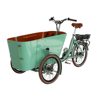 Sepeda Tricycle Listrik Roda Tiga untuk Dewasa dengan Bak Terbuka dan Pengangkut Hewan Peliharaan