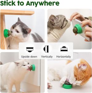 Hovicaed – Lot de 4 jouets à mâcher verts et sains pour chats, boules d'énergie supplémentaires, friandises comestibles à la vigne argentée pour chatons, soins dentaires, herbe à chat - Product Image 5