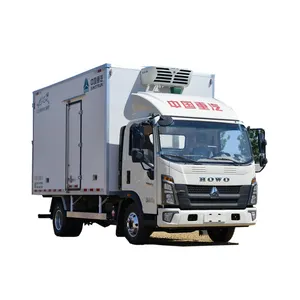 Howo 6 Wheels 4x2 Small Refrigerator Truck 4.1m 160Hp Freezer Truck Refrigerated Container Truck For Sale