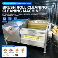 Machine à éplucher automatique à rouleaux brossés pour Platycodon Grandiflorum, machine à éplucher les fruits en acier inoxydable SUS304 pour ligne de transformation des légumes