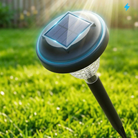 Lampes solaires de jardin en gros, éclairage moderne pour allée, jardin, chemin, cour, lampe solaire étanche blanc chaud