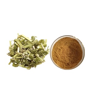 Yüksek kaliteli wort wort özü çin Motherwort özü Motherwort özü tozu organik toz - Product Image 1