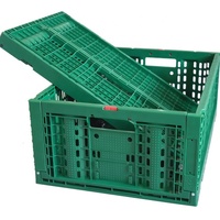 Panier ventilé de caisse de stockage de tomate pliable en plastique de type maille de haute qualité pour les fruits