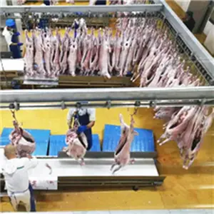 Halal Mutton Slaughtering Equipment For Lamb Butcher Abattoir Meat Process Line