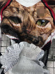 <span class=keywords><strong>T</strong></span>-<span class=keywords><strong>shirt</strong></span> da donna con stampa animalier 2025 abbigliamento estivo con maniche lunghe Usa - Product Image 4