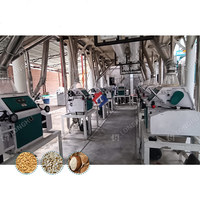 Ligne de production de moulin à farine de blé commercial 50T, machine de meunerie de farine de blé, usine