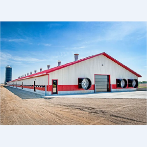 Poulailler industriel métallique personnalisé pour poules pondeuses – Haute qualité et <span class=keywords><strong>prix</strong></span> compétitifs, remplissage automatique d'eau - Product Image 4