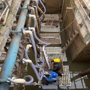 中空繊維膜浄化システムPVDF UF MBR膜水処理プラスチックフィルターハウジング1年 - Product Image 5