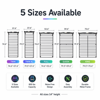 Cadre de lit en fer de qualité supérieure au design moderne avec éclairage LED RGB, bande de lit pliable en fer et télécommande