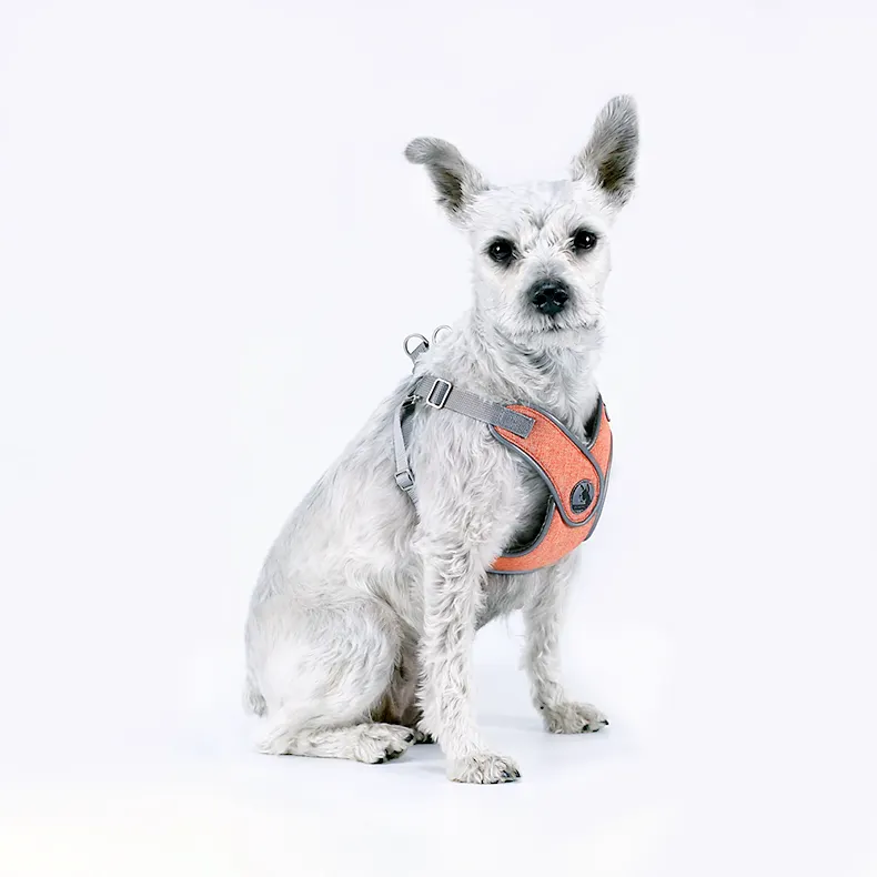 DRESSPET ortopedik denge lüks sevimli yavru köpek Pet yelek deri koşum küçük ve orta köpekler için